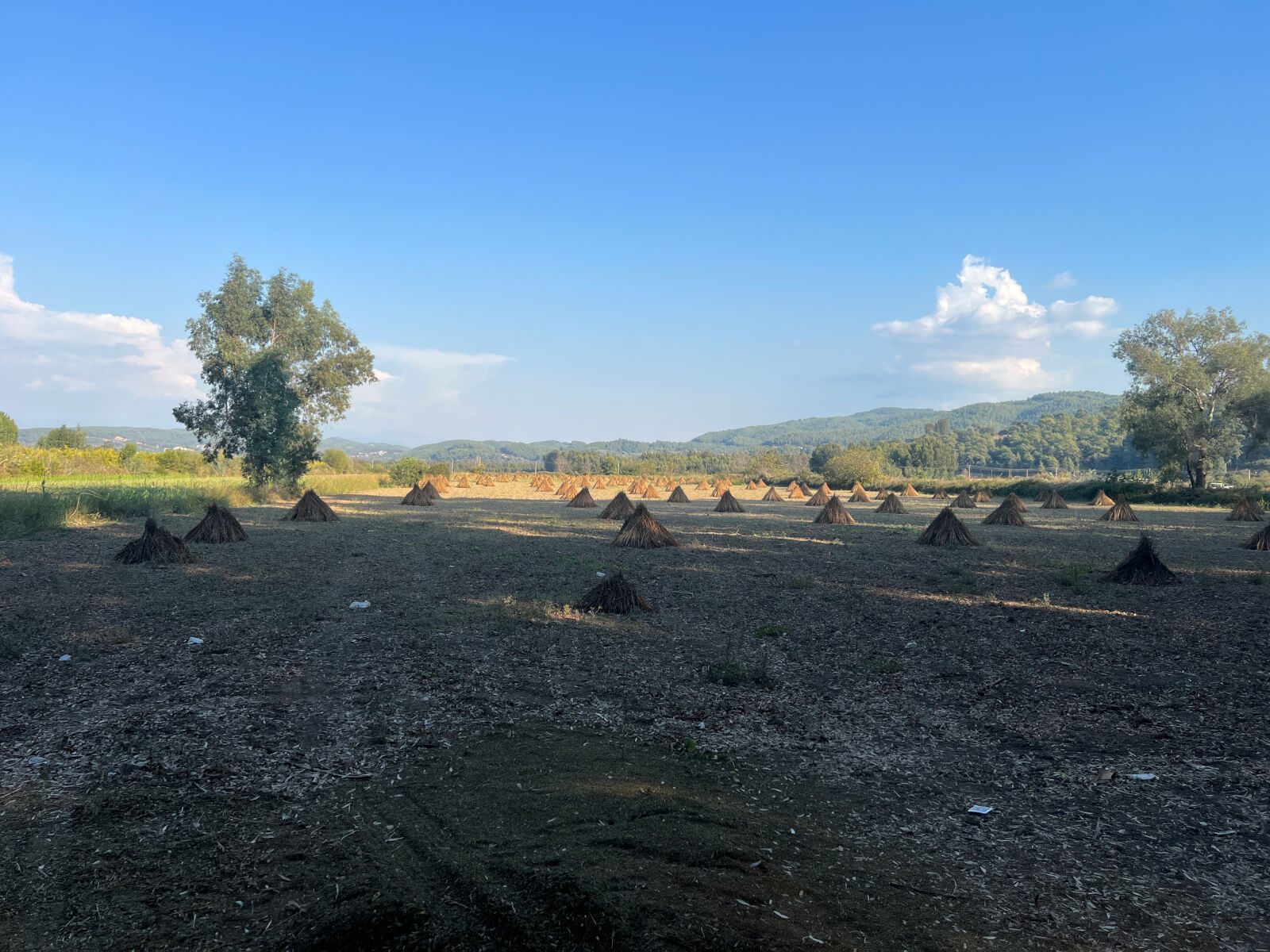 Akçapınar