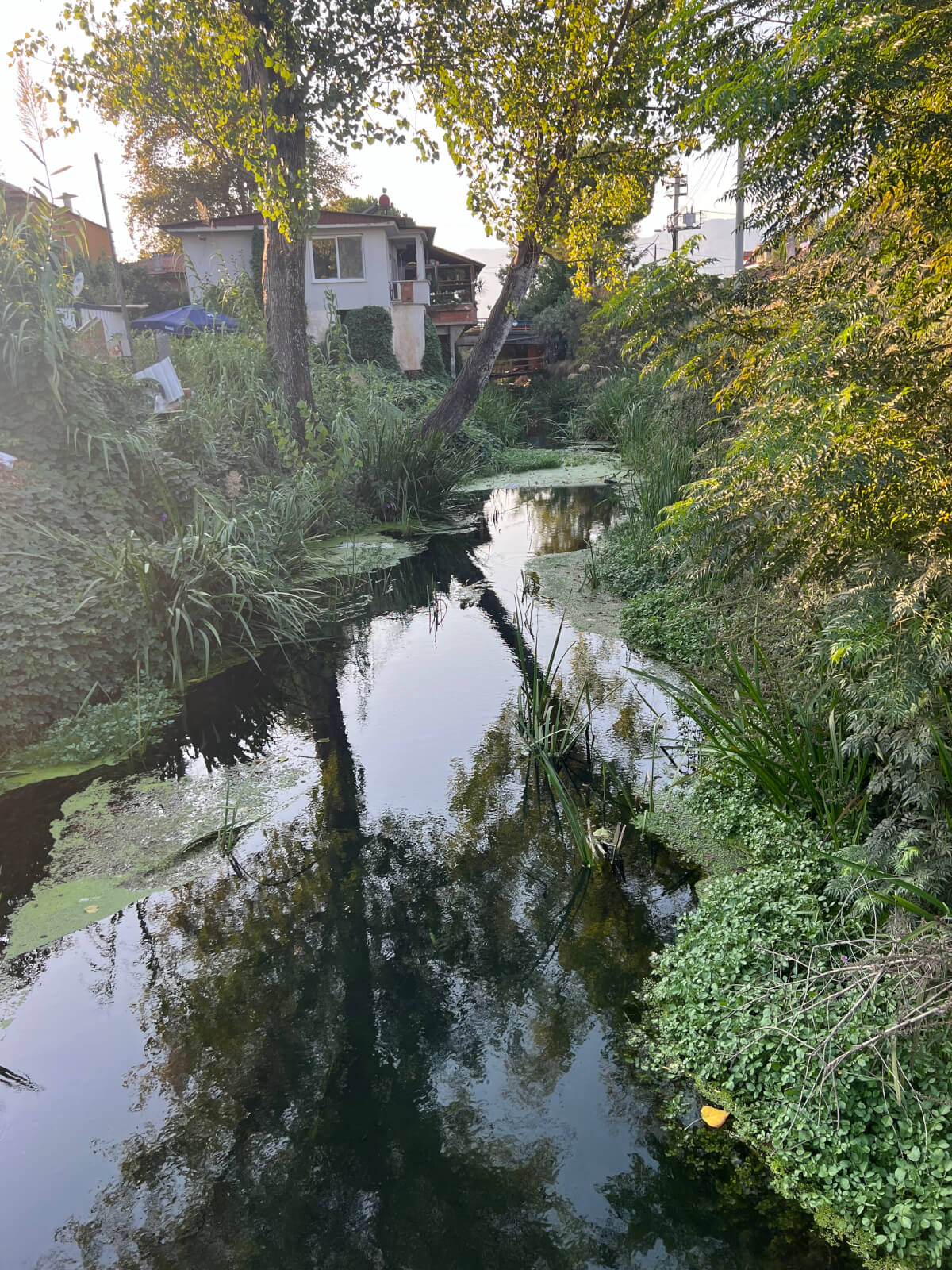 Akçapınar