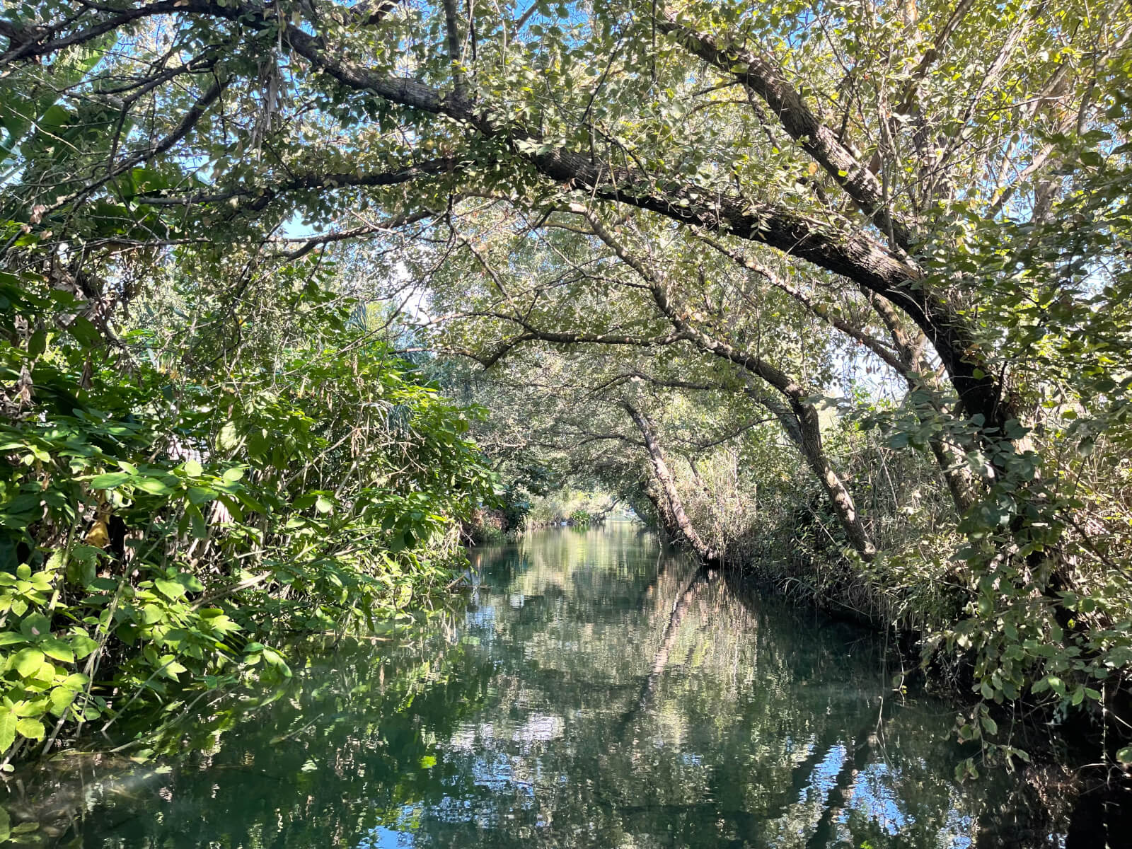 Akçapınar