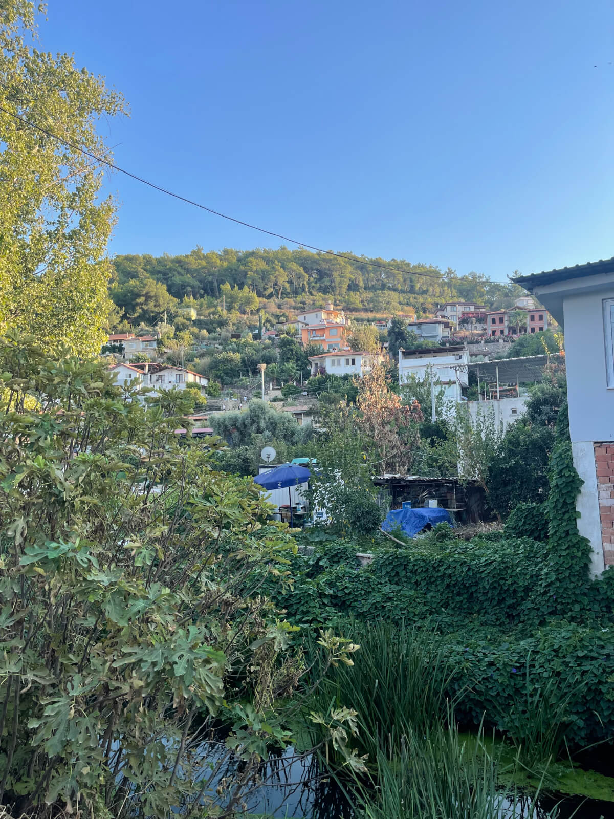 Akçapınar