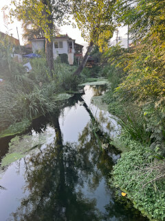 Akçapınar
