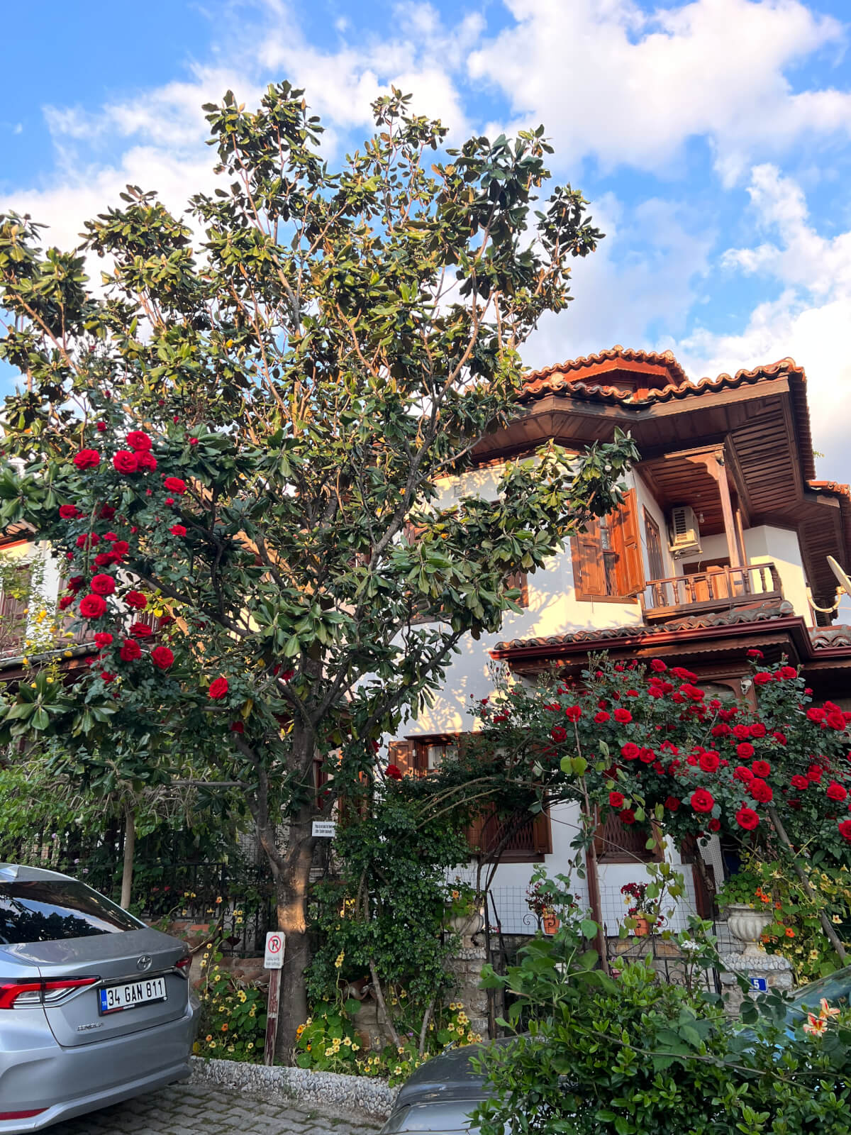 Architecture of Akyaka