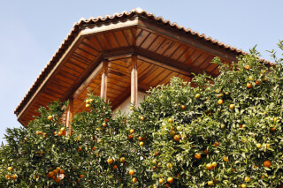 Architecture of Akyaka