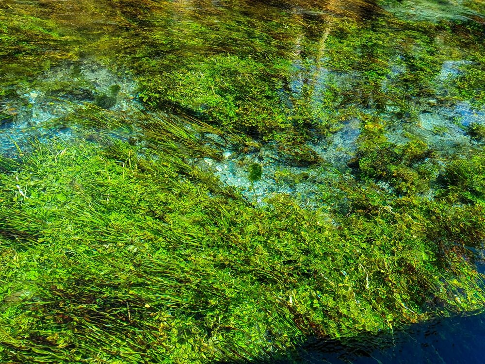 Azmak River