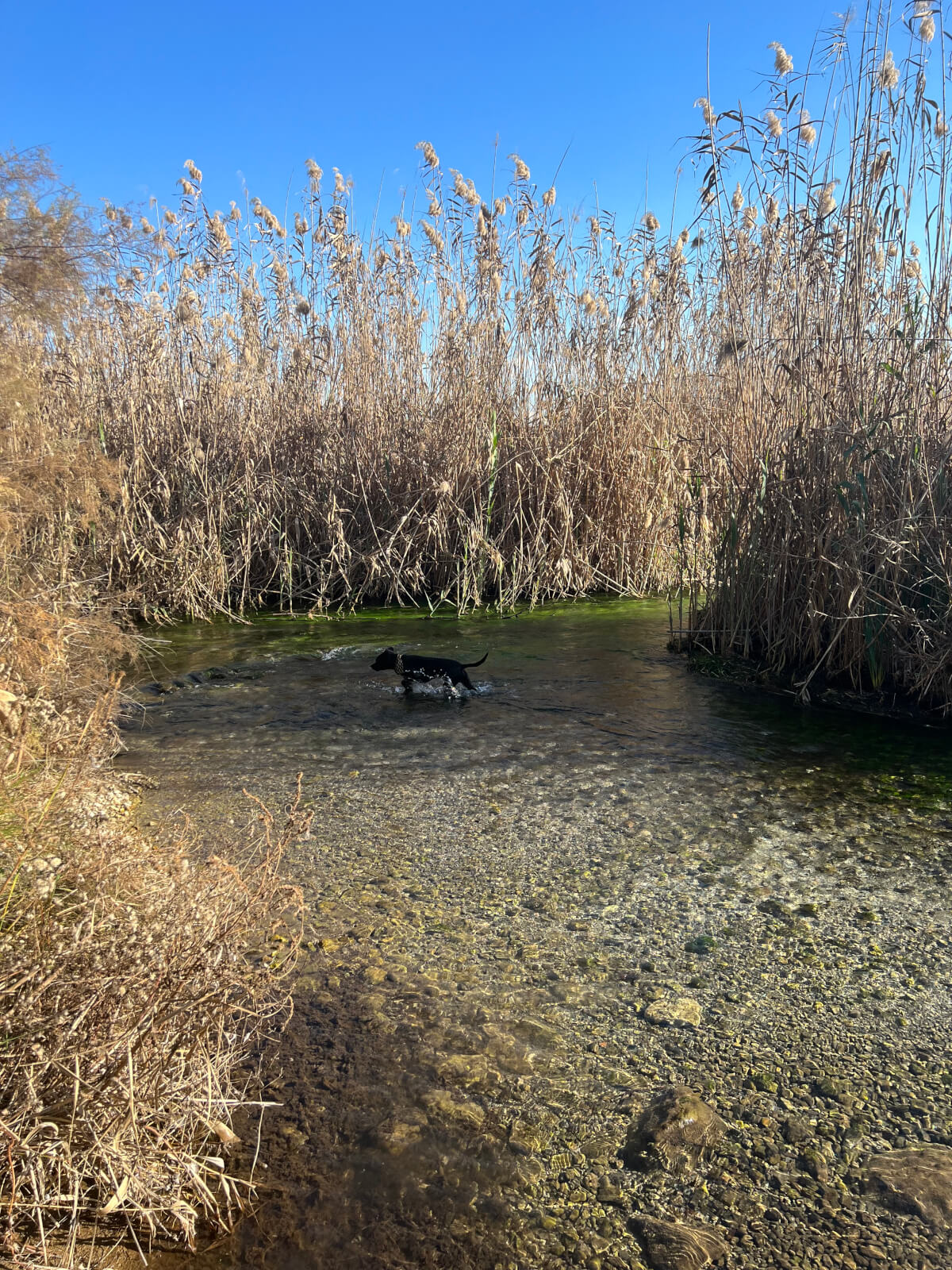 Azmak River