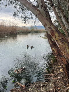 Azmak River