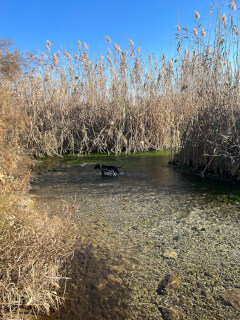 Azmak River