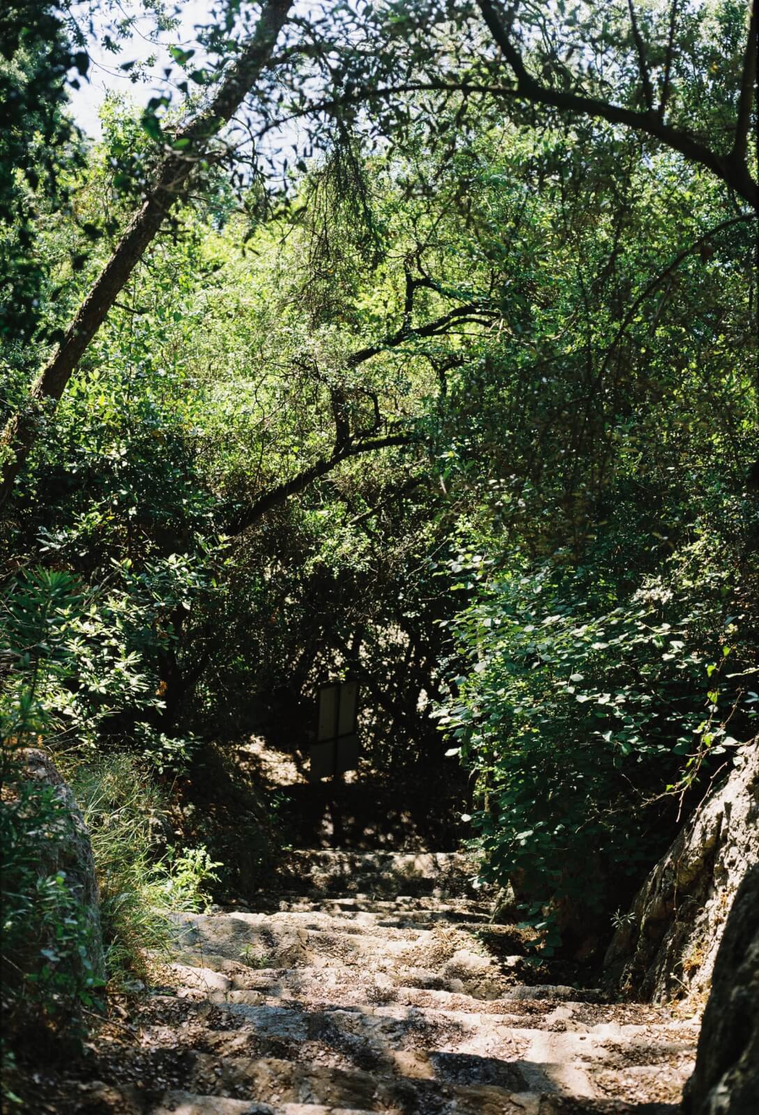 Forest Camp Bays