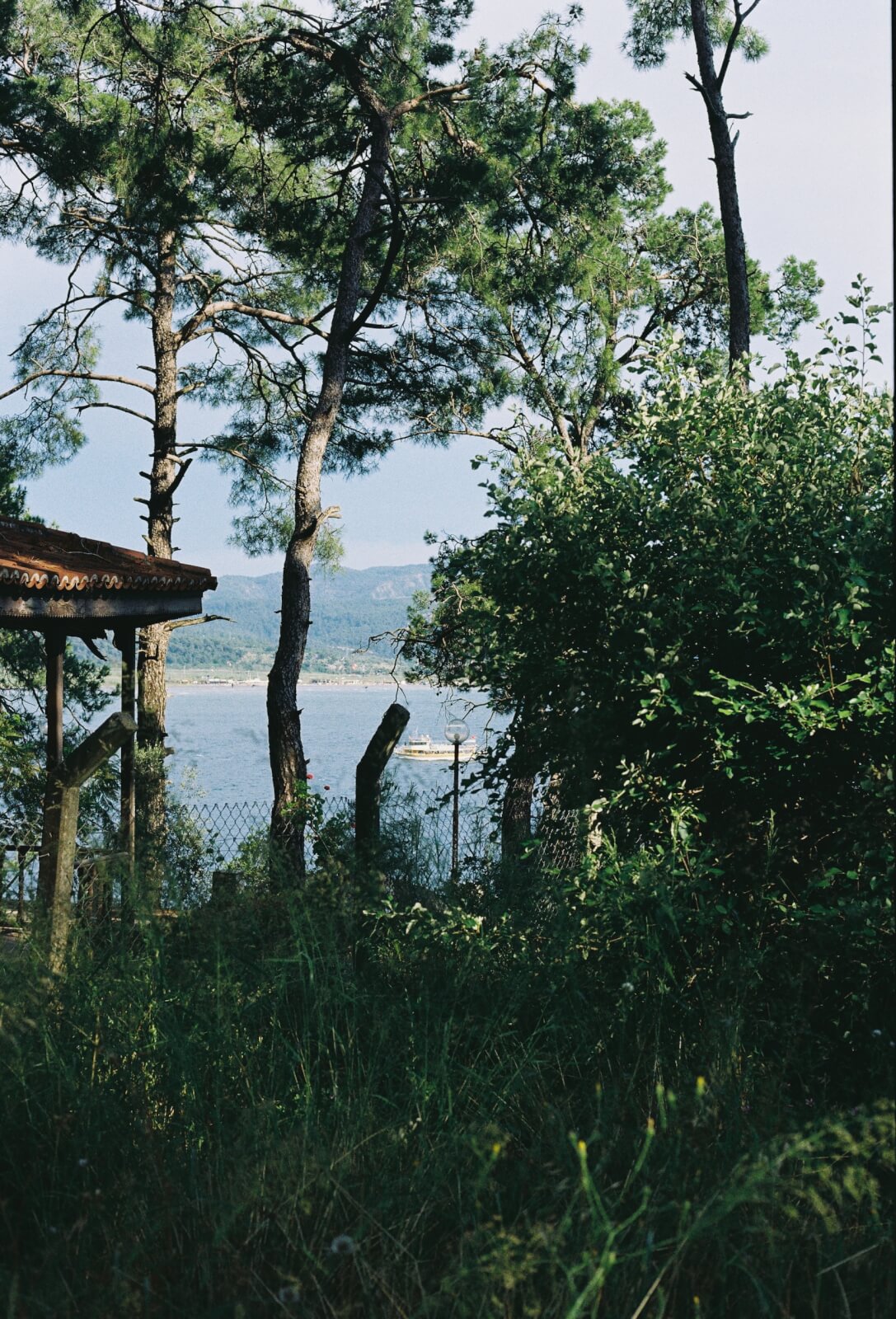 Forest Camp Bays