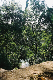 Forest Camp Bays