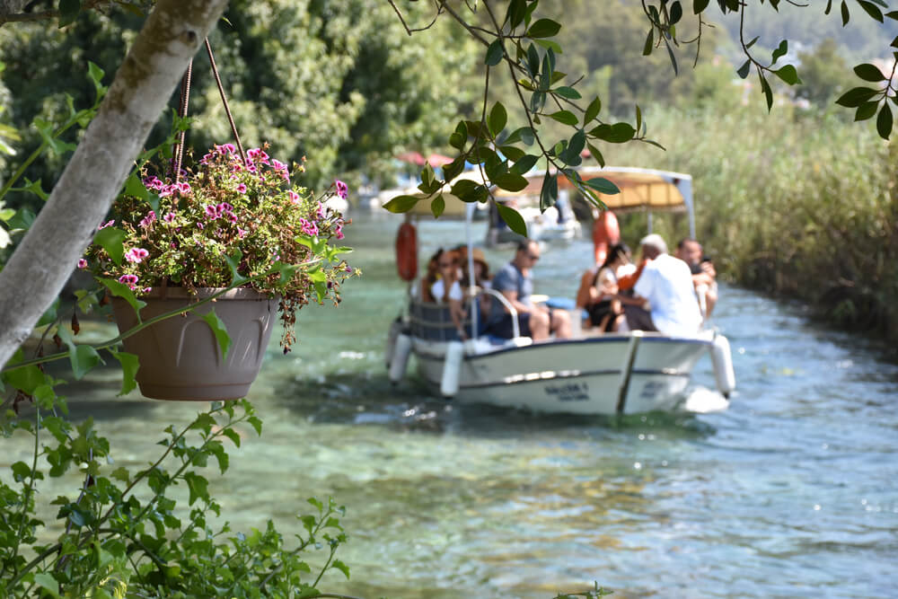 Boat Tours