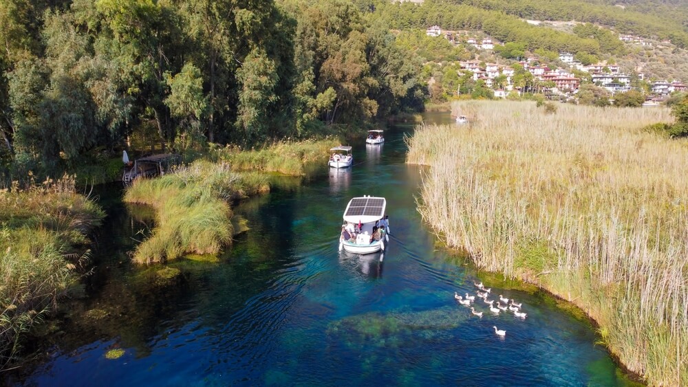 Boat Tours