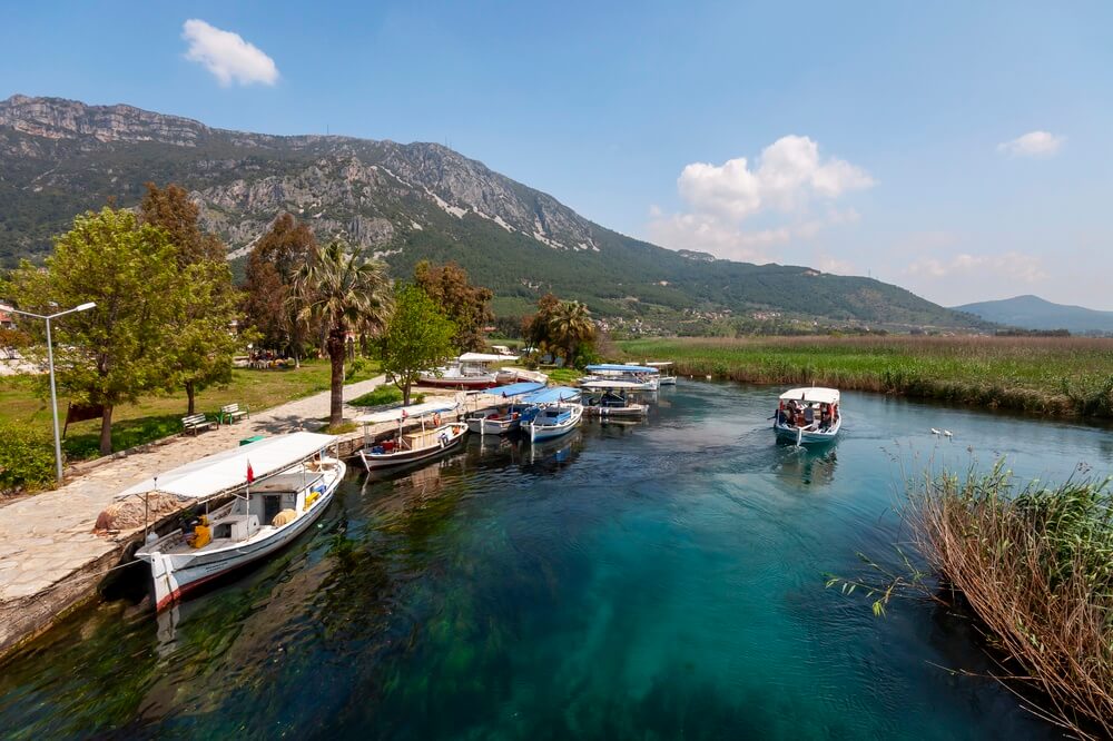 Boat Tours