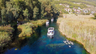 Boat Tours