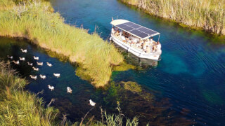 Boat Tours