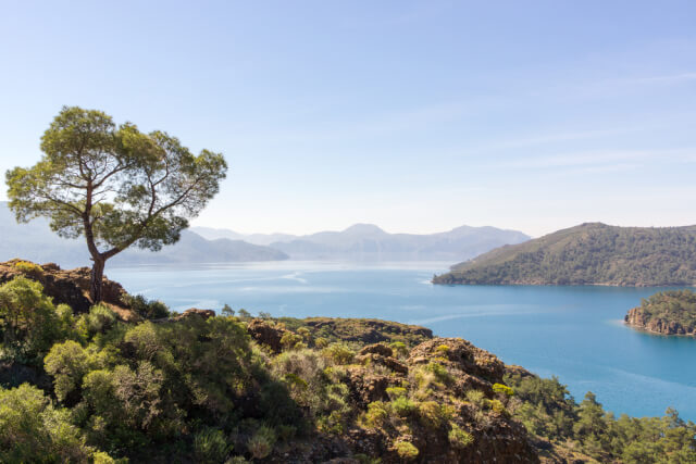 Bördübet Bay