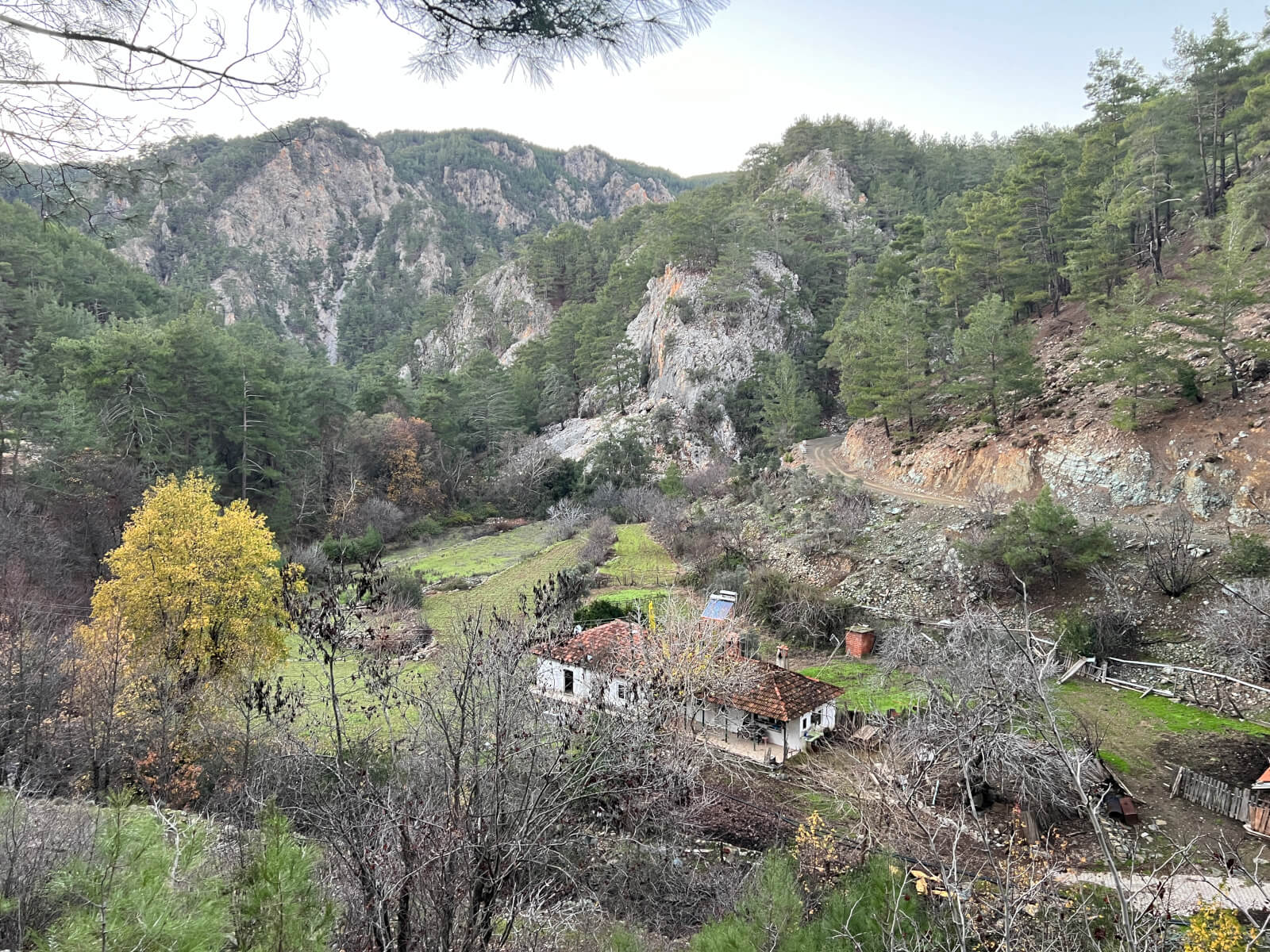 Deer Canyon