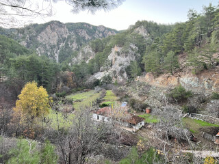 Deer Canyon
