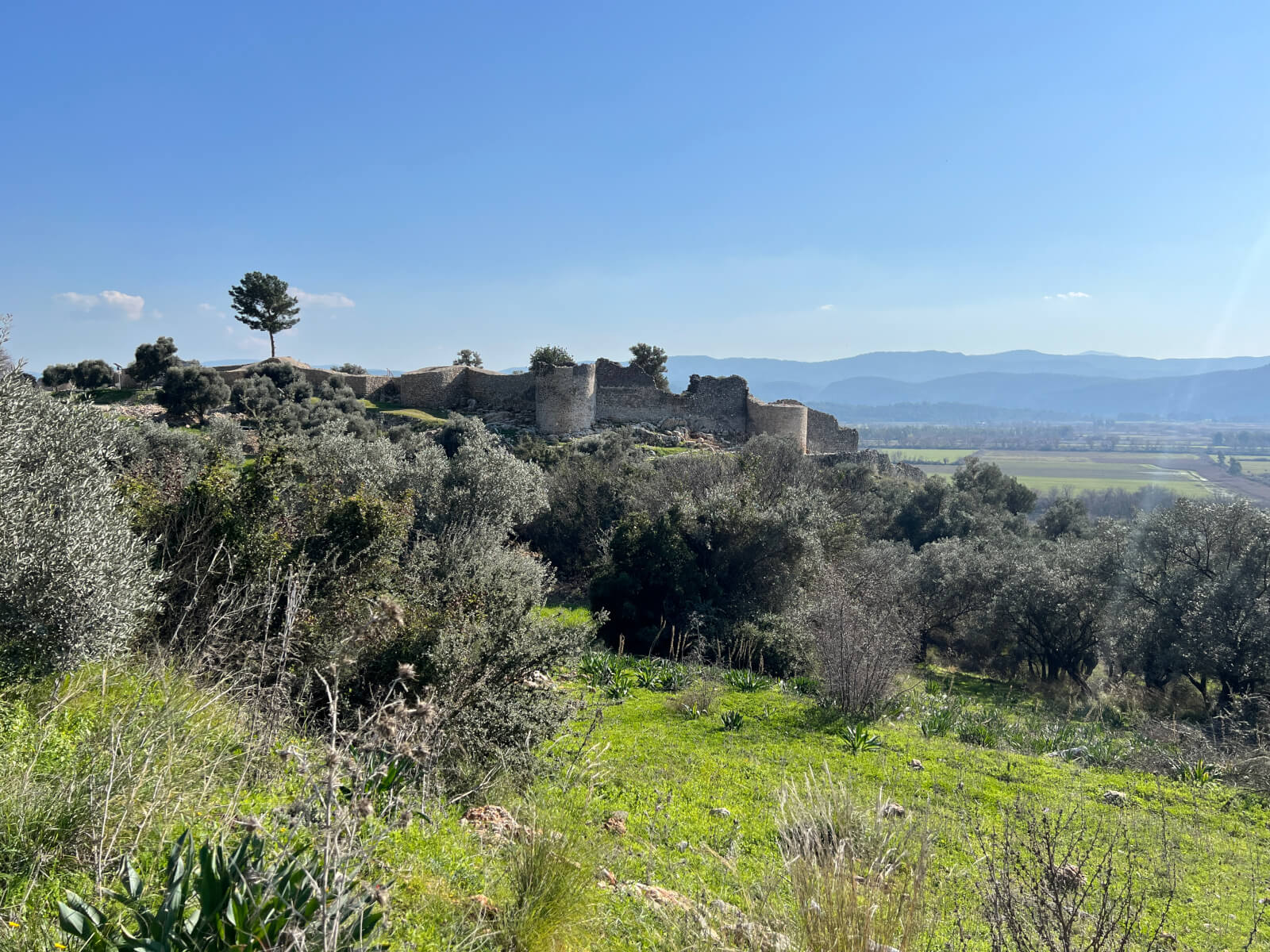 The Castle