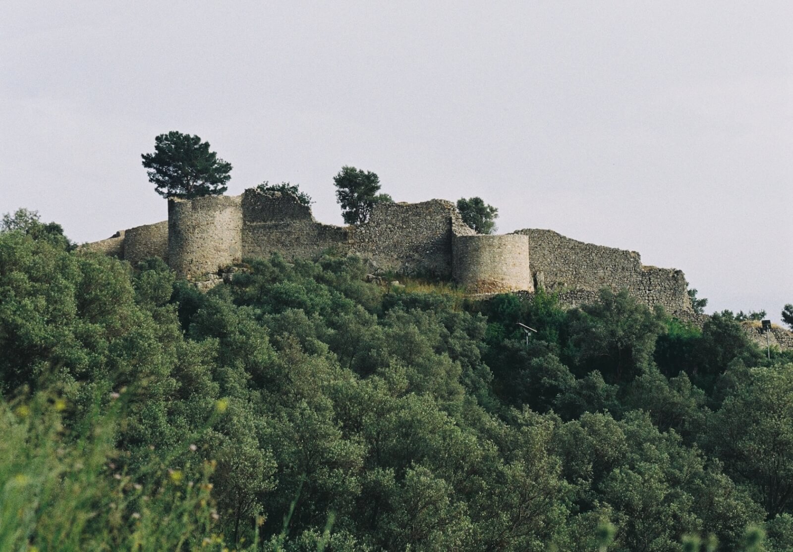 The Castle