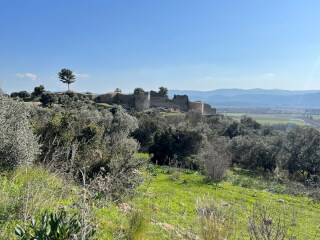 The Castle