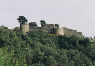 The Castle