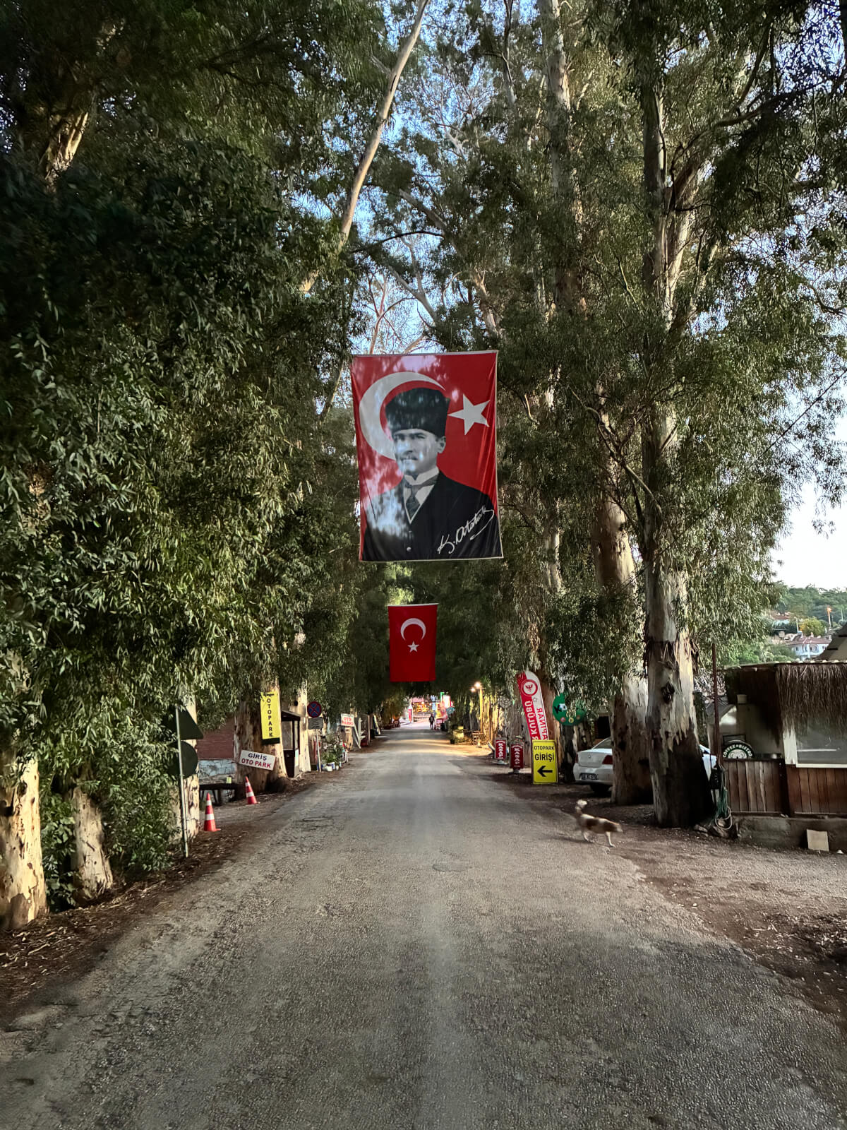 Eucalyptus Avenue