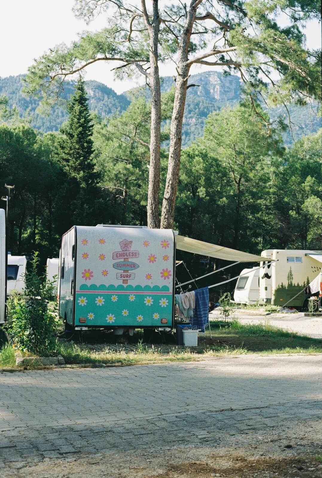 Orman Kampı