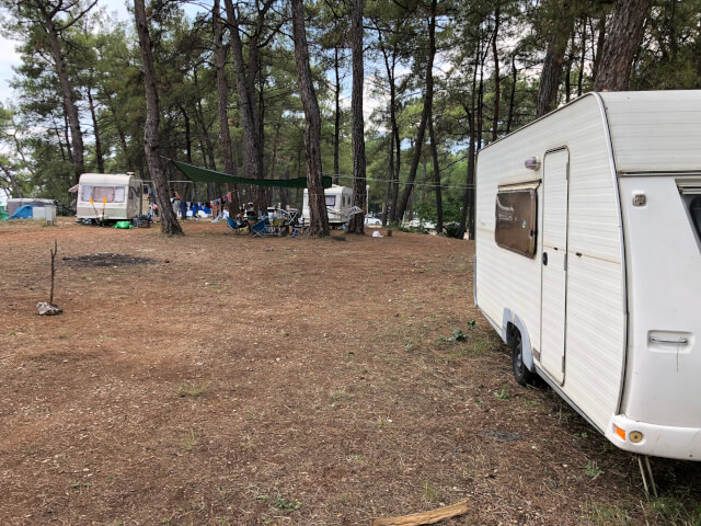 Forest Camp
