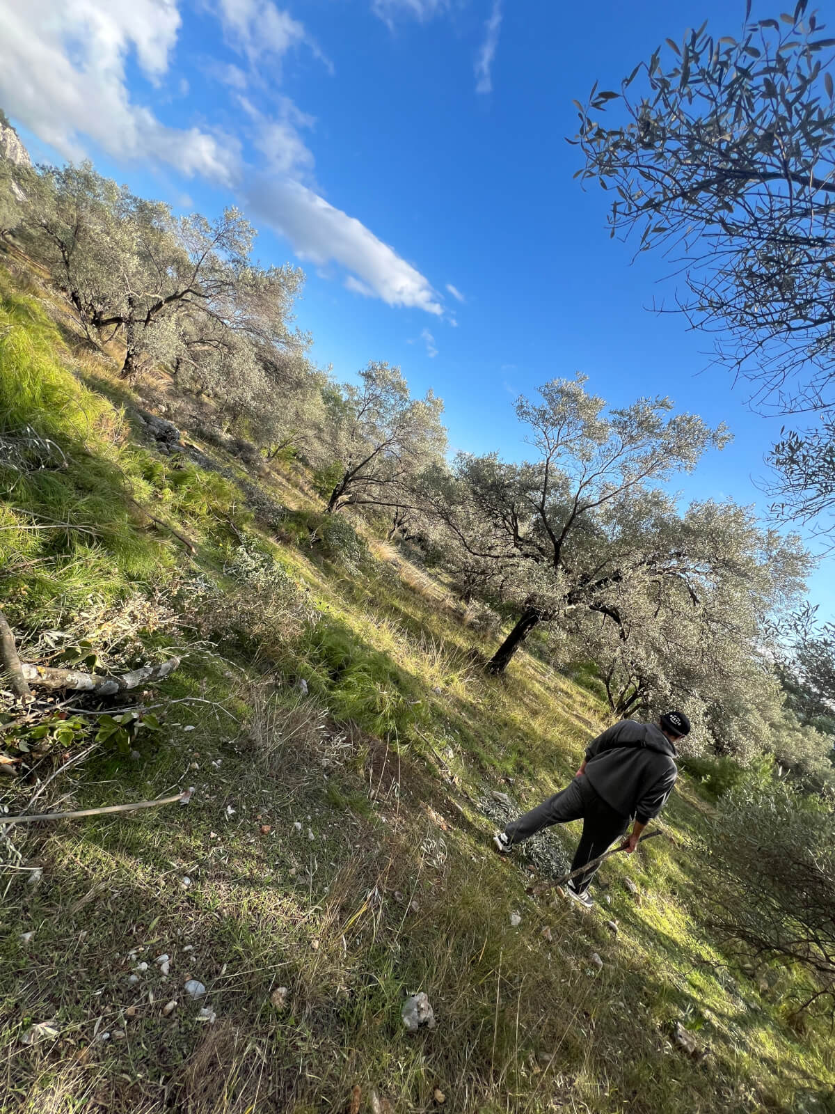 Hiking