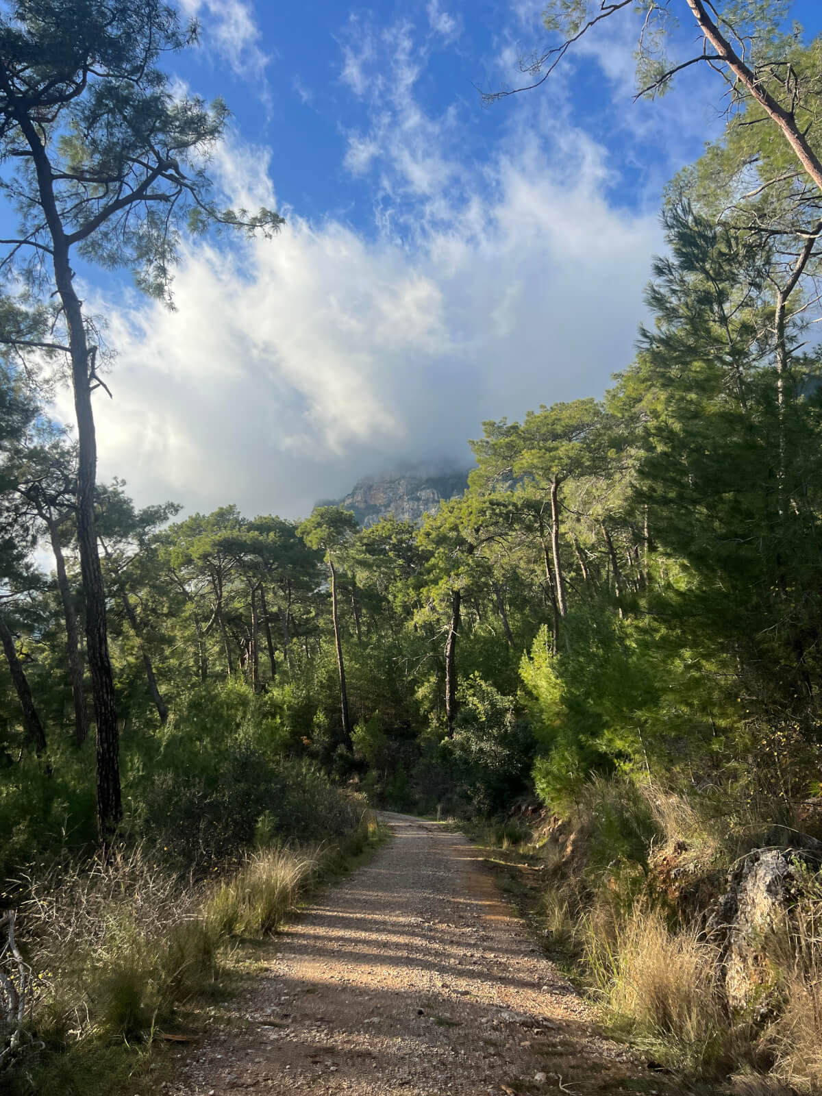 Hiking