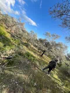 Hiking