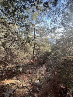 Hiking