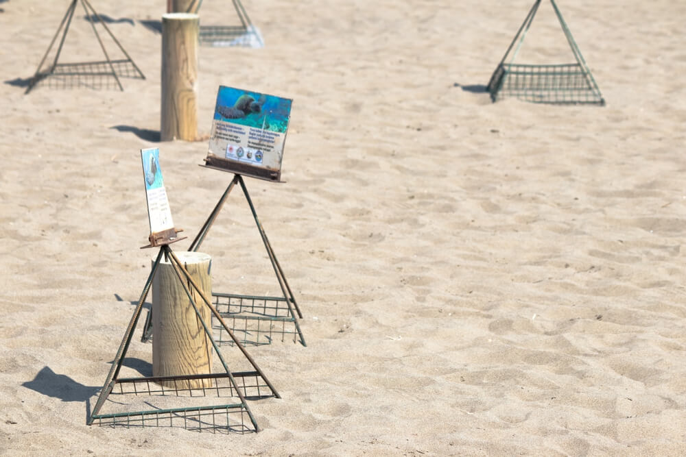Iztuzu Beach