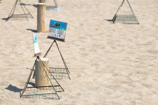 Iztuzu Beach