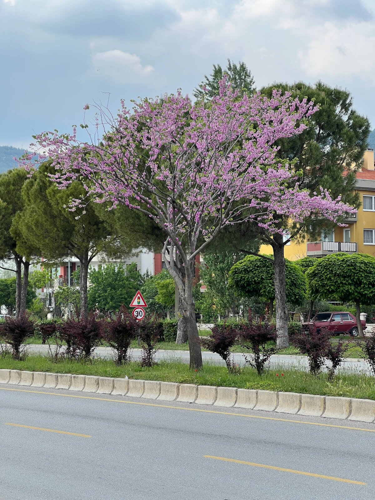 Muğla